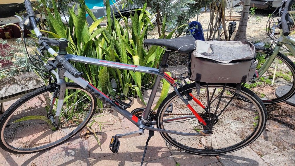 Giant Escape Aluminum 21" Street Bike