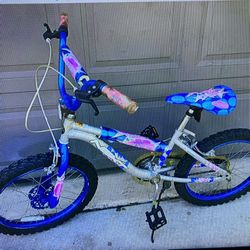 Girls Bicycle 20”  Next