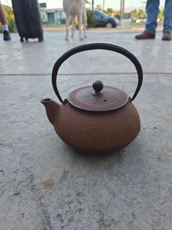 Iwachu cast Iron t e a pot