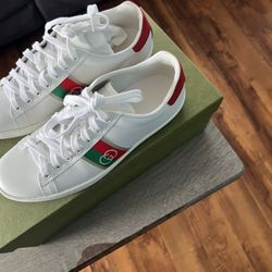 Gucci 👟 Shoes