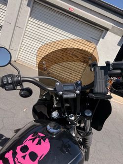 2019 softail streetbob