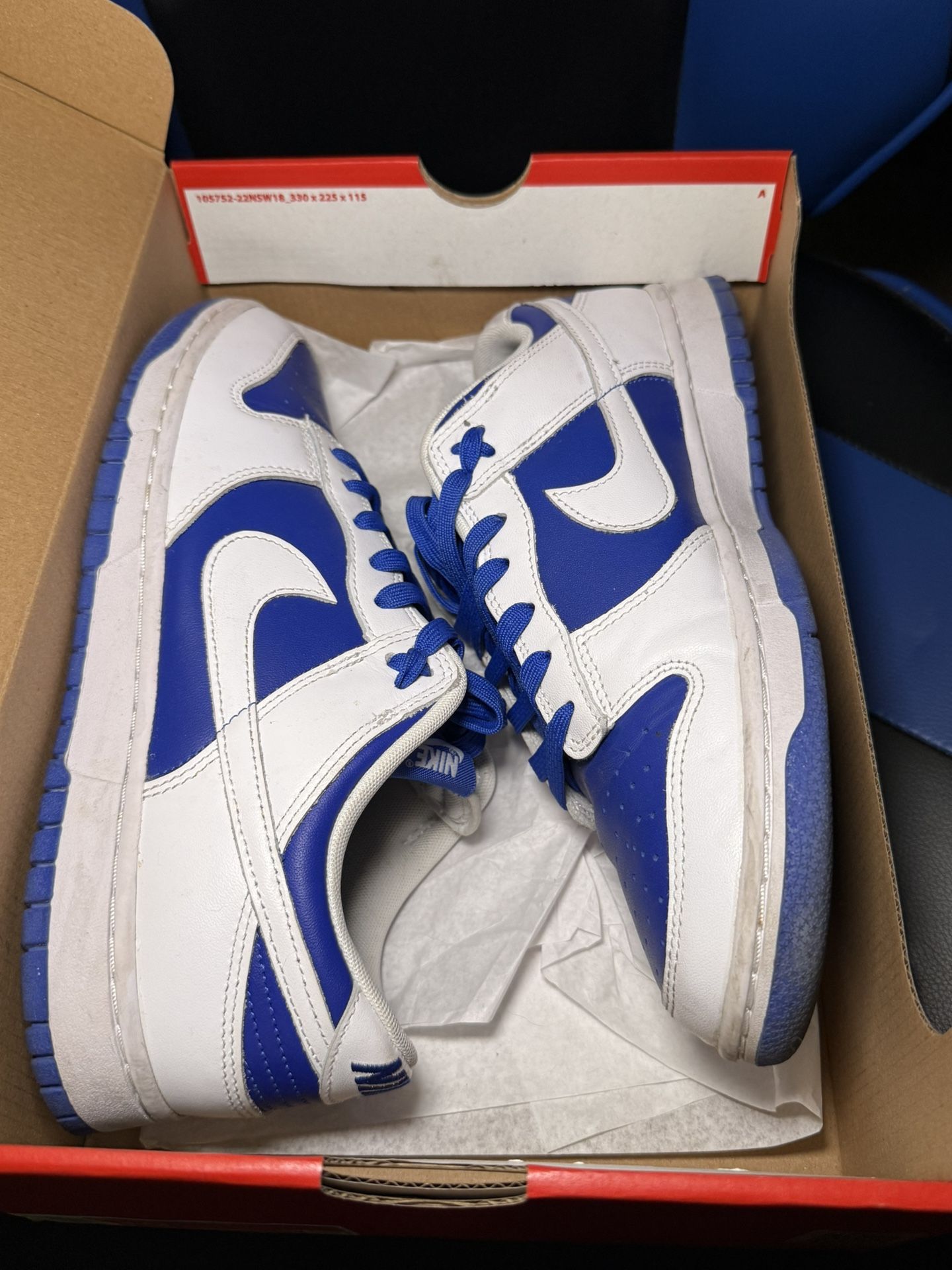 Nike Dunk Low Size 10