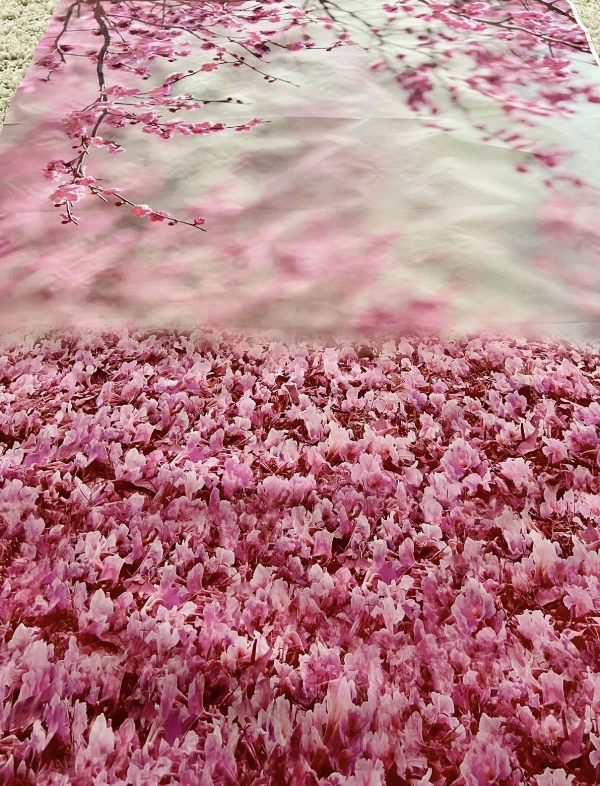 Beautiful pink flowers backdrop