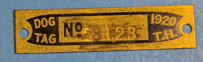 Territory Of Hawaii 1920 Dog Tag