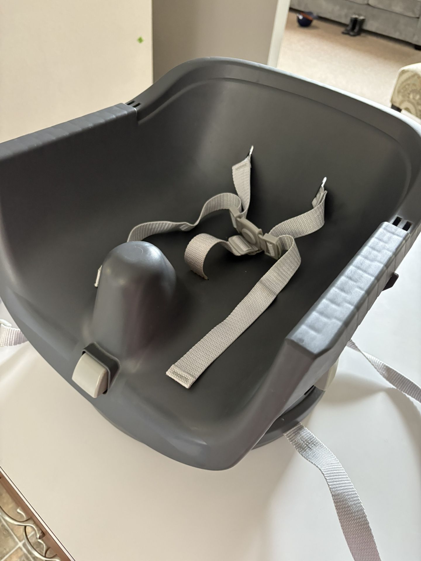 Adjustable Booster Seat