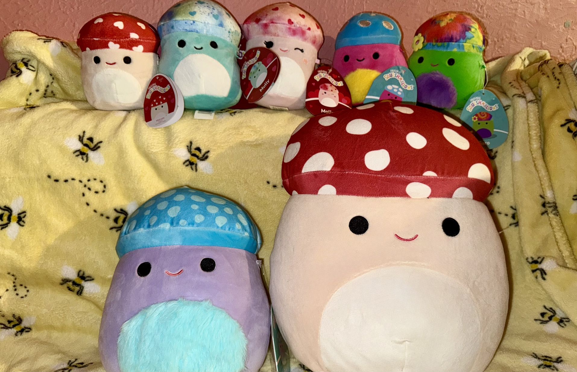 Mushroom squishmallows New With Tags 