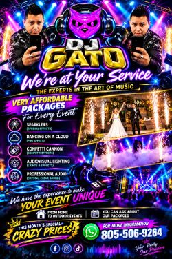 Dj gato professional