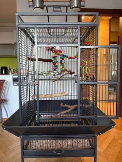 Bird Cage Toys
