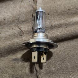 H7 Bulb
