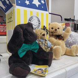 Plush Teddy Bears
