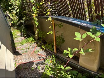 Canoe for sale