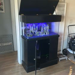 Fish Tank 