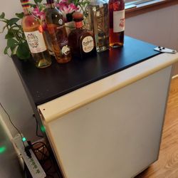 Mini Refrigerator 