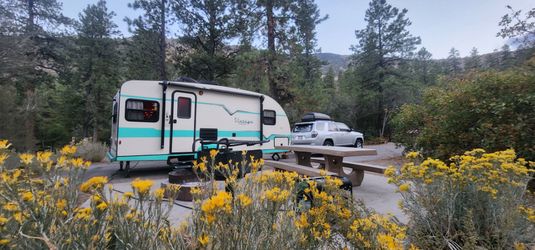 2018 Vintage Gulf Cruiser