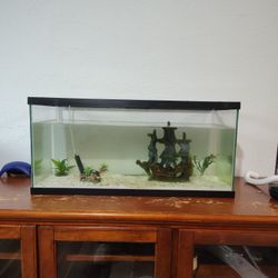 fish tank