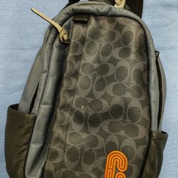 Vintage Coach Carry Bag Needs Cleaned 