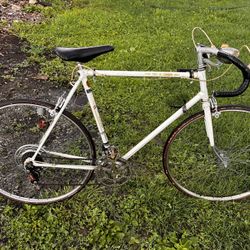 Vintage Gazelle Tour De L’Avenir Road Bike