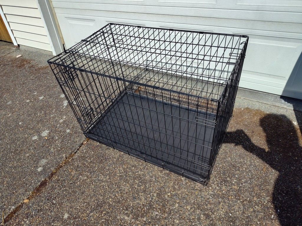 Dog Kennel