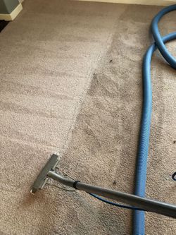 Kleen carpet