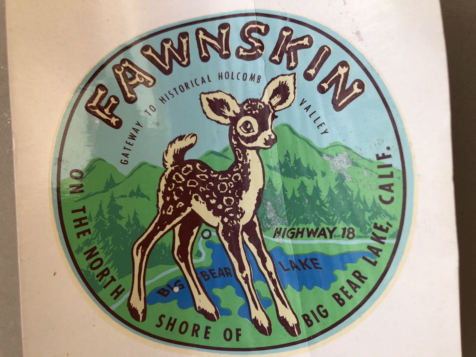 VINTAGE 1950’s FAWNSKIN BIG BEAR LAKE WATER SLIDE DECAL HOT ROD TRAVEL TRAILER CLASSIC CAR