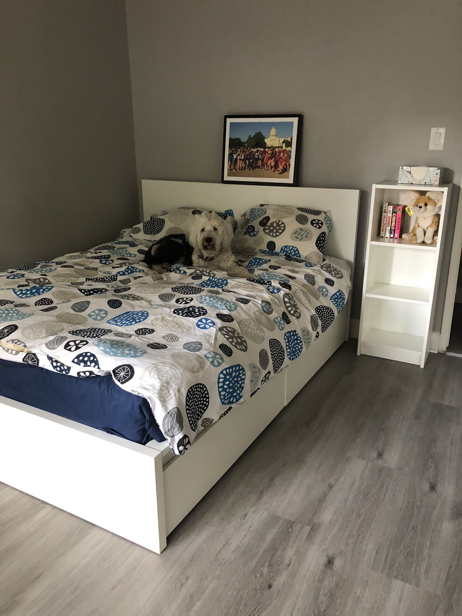 Full Bedroom Setup (full-sized bed with storage, shelves, drawers)