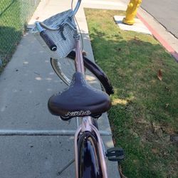 Beach Cruiser