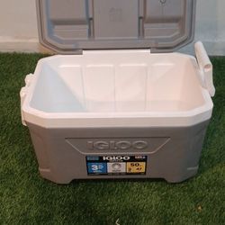 Igloo Cooler