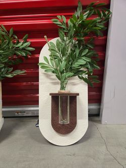 Wall plant decoration