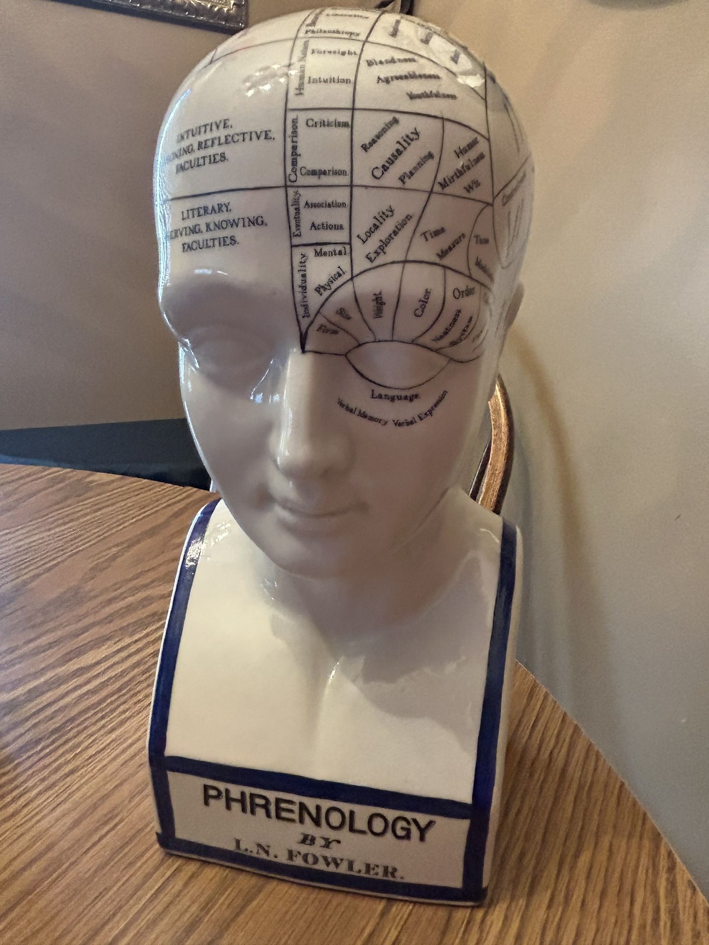 Vintage 12" Porcelain Phrenology Head Bust by L. N. Fowler Authentic Model Map of Brain Science Scientist