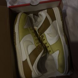 Rare Nike Dunks Size 11
