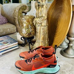 Nike Pegasus Trail 3 GTX Gore-Tex DC8793-800 Men's Orange Size 9US