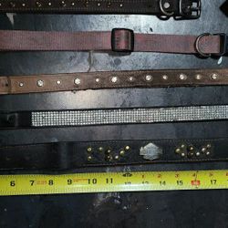 Dog Collar lot