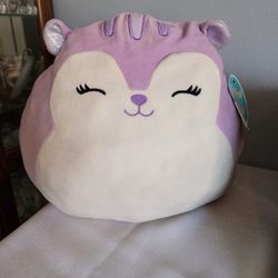 Squishmallow Squirrel 