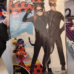 Miraculous Cat Noir Costume