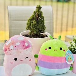 2 squishmallow 8”