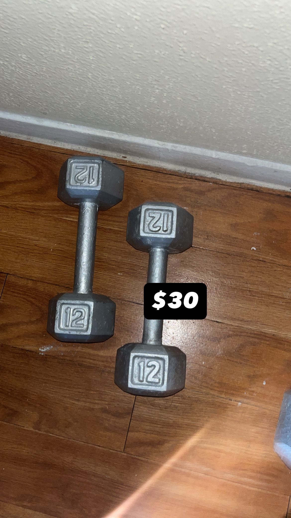 Dumbbell 12 Ib