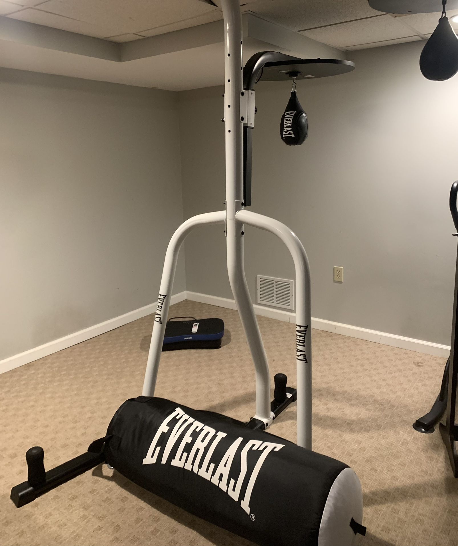 Everlast Boxing Bag