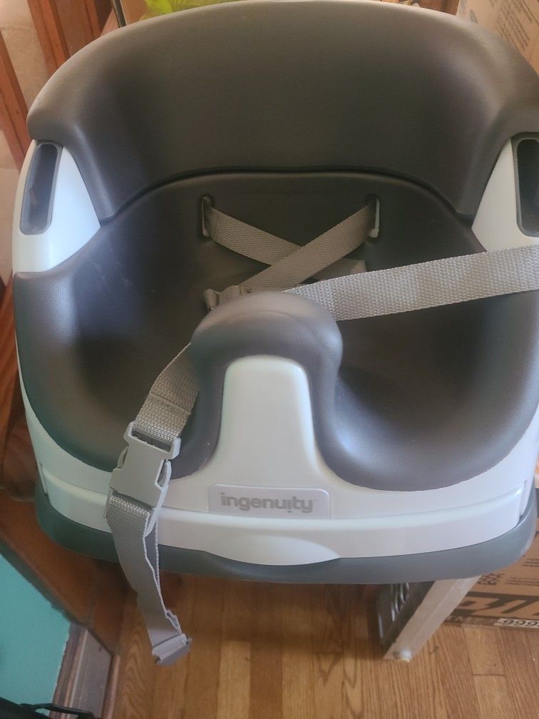 Ingenuity Toddler Table Booster Seat