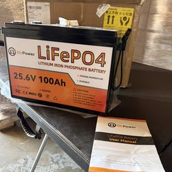 24V 100Ah LiFePO4 Lithium BtrPower Battery for RV Marine Solar System 100A BMS