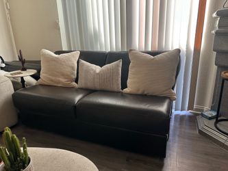Leather Pull out Couch