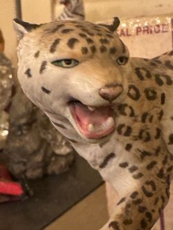 Franklin mint leopard