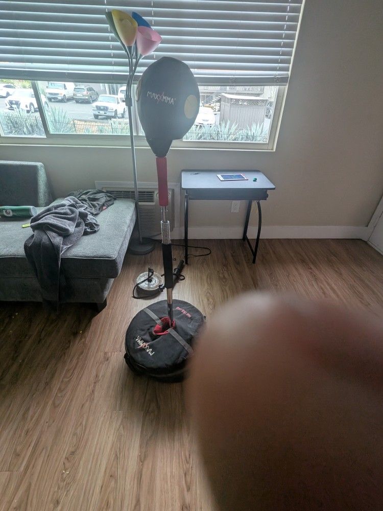 Punching Speed Bag 