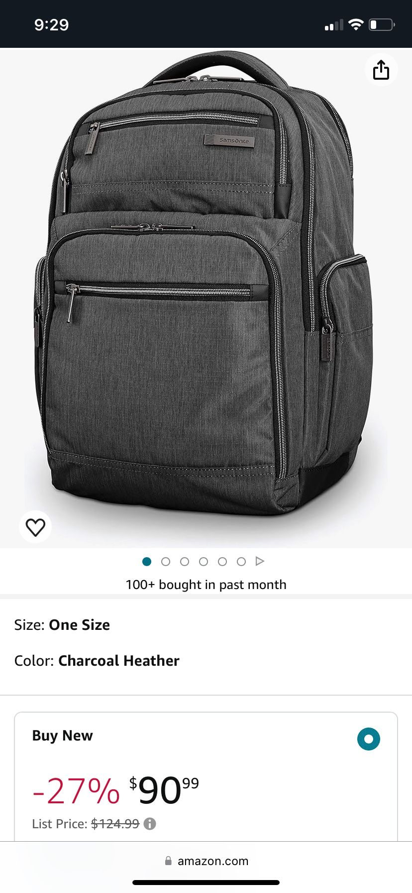 Samsonite Backpack 