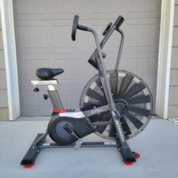 Schwinn Airdyne Pro