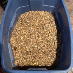 Premium Aquarium Gravel $10 Per 20 Lb
