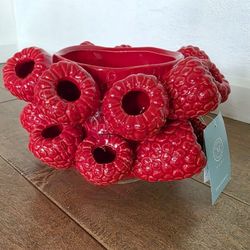 Brand New Martha Stewart Raspberry Pot 