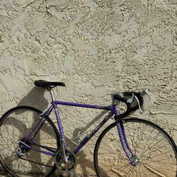Nishiki road bike/bicycle