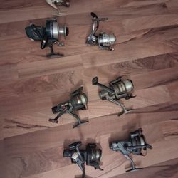 Reels
