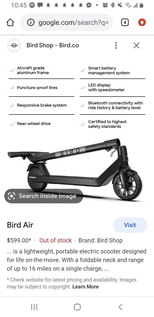 Bird Flex Pro Max Electric Scooter