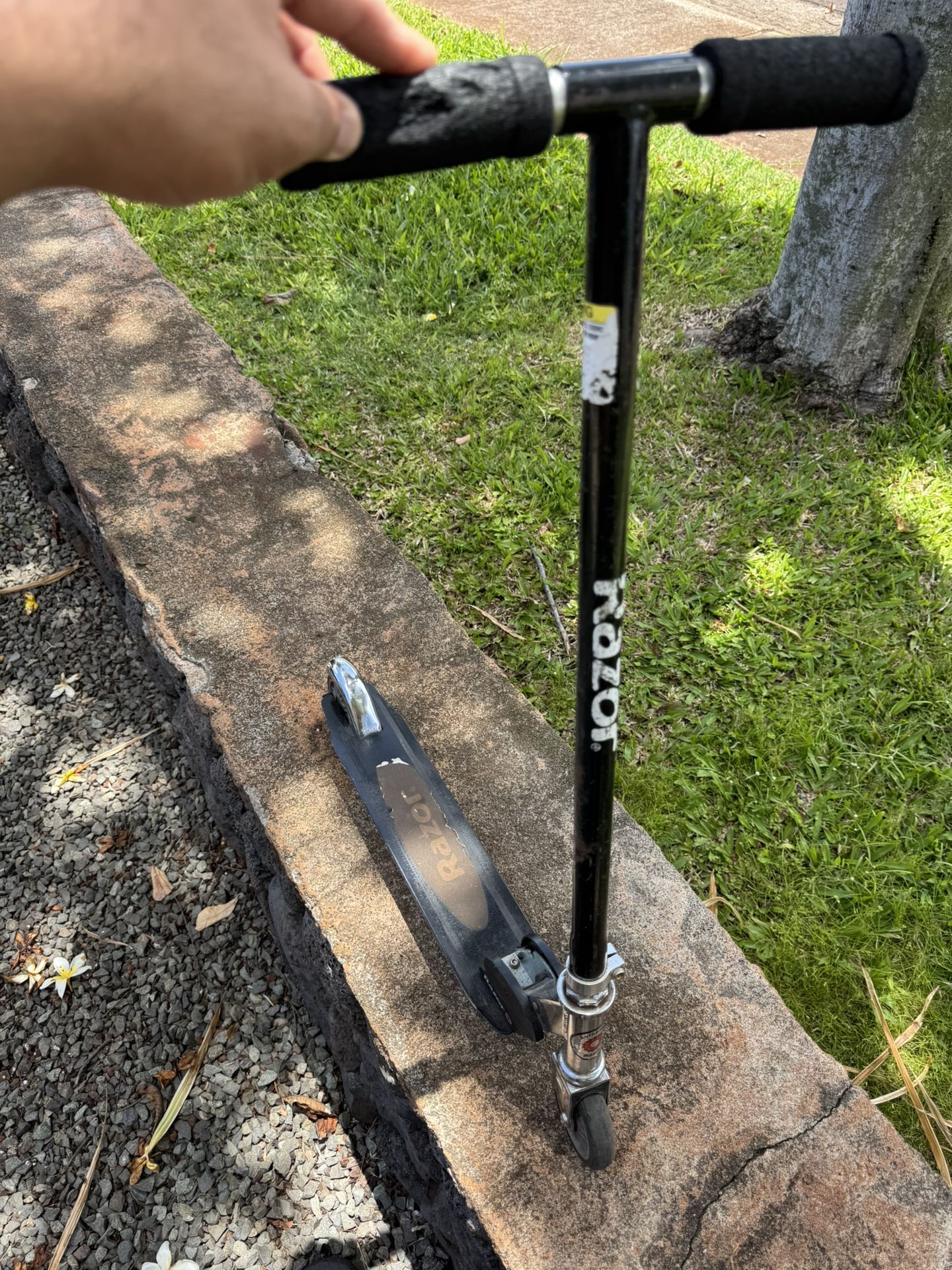 Kids Scooters